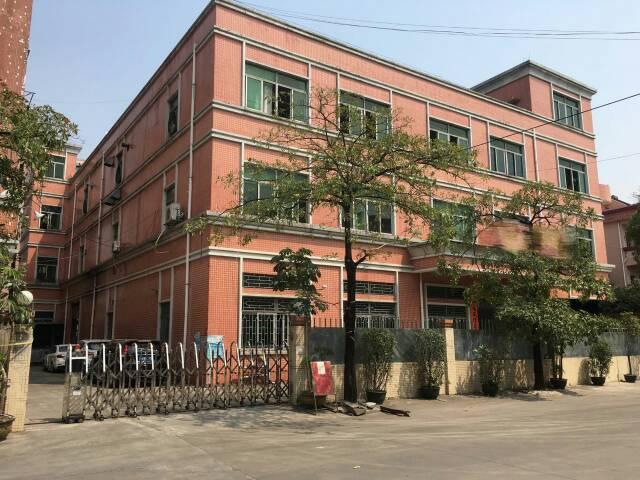 石排镇经典独院3200平方现成办公室精装修