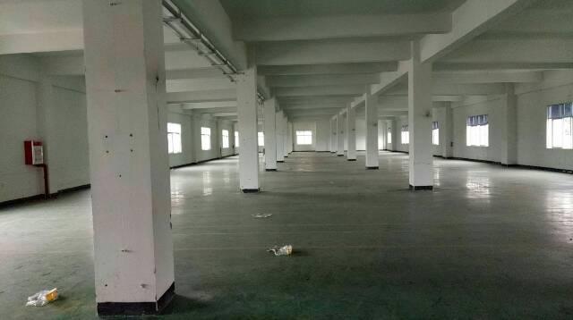 东坑镇独门独栋标准2400平米厂房出租