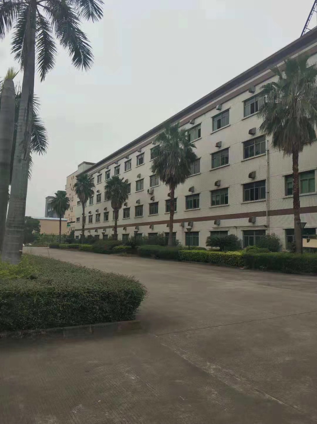 东莞东坑新出花园式厂房分租一楼2600平方厂房出租或分租可办环评